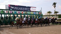 为什么选择我们